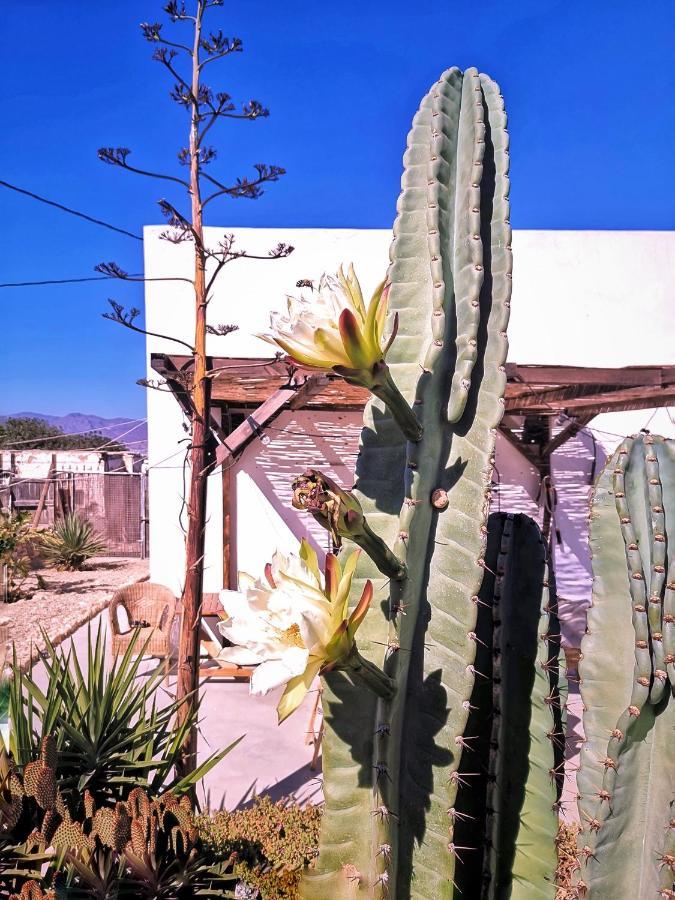 Cortijo La Ciclona Lejlighed Fernan Perez Eksteriør billede